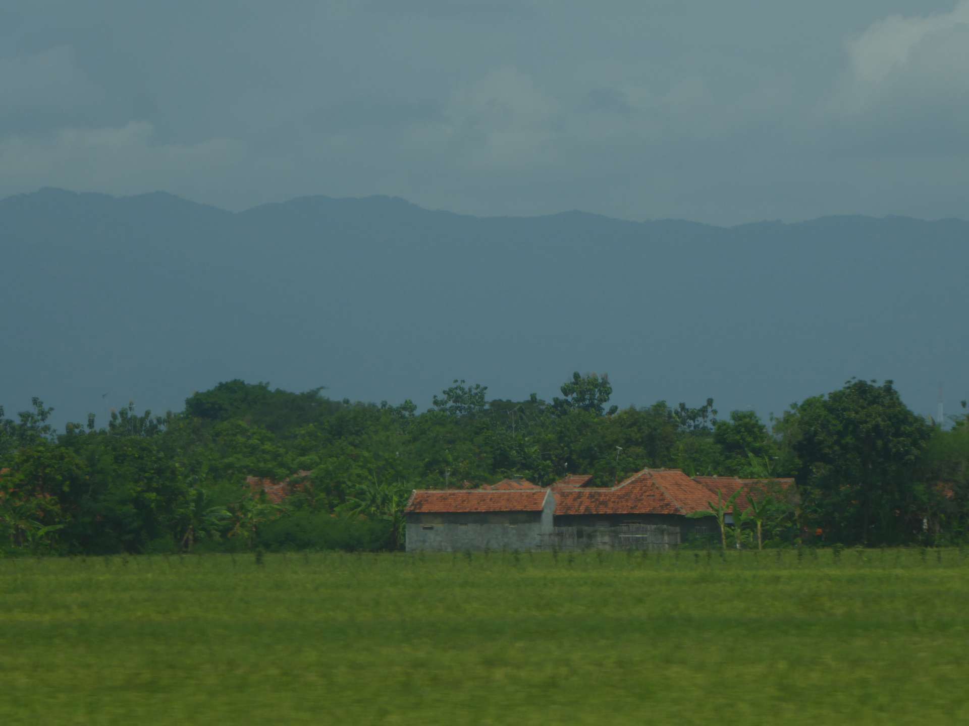 Viaje en tren a Yogyakarta