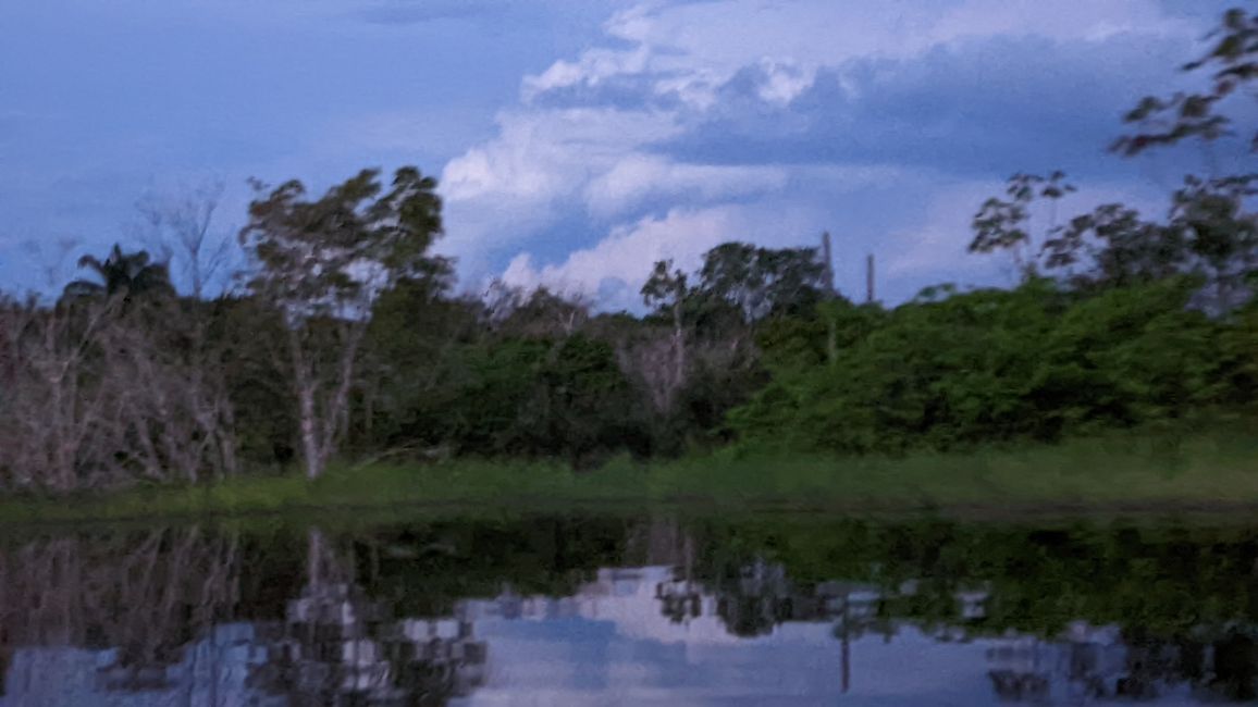 2. Día en la selva amazónica