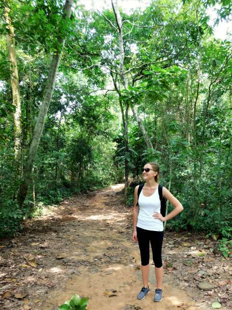 On hidden trails deeper into the rainforest