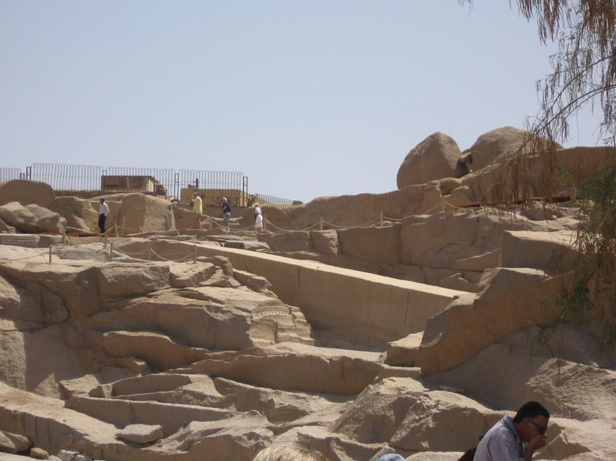 Nile cruise Egypt - Part 6 botanical garden, obelisk and back to Luxor