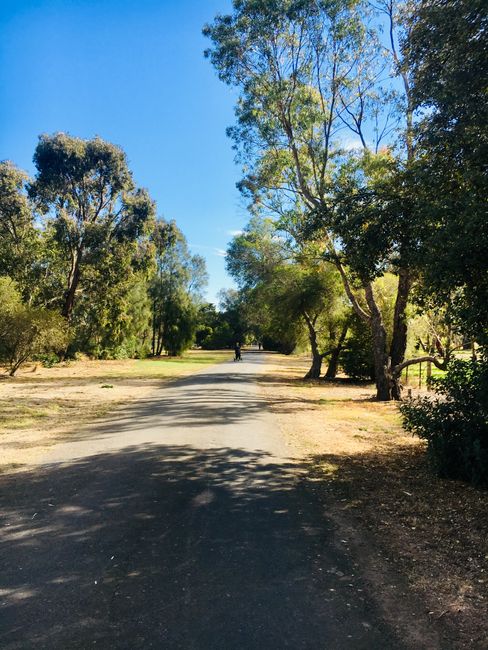 No Swell, No Problem - Jogging Round at Barwon River