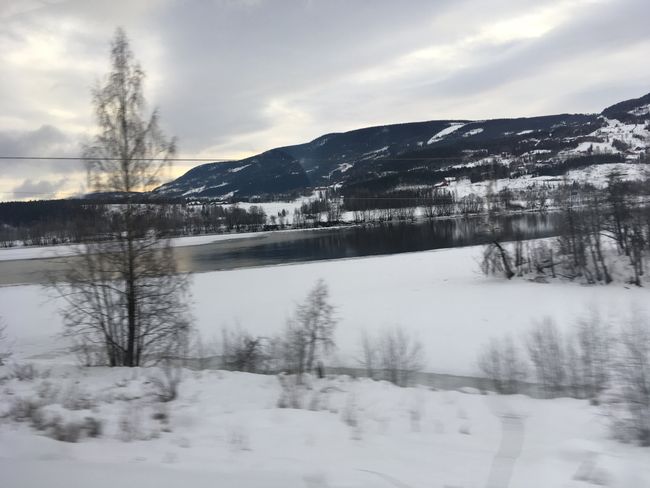 Mit Bus und Bahn durch Norwegen