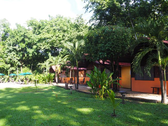 El Panchan, Palenque