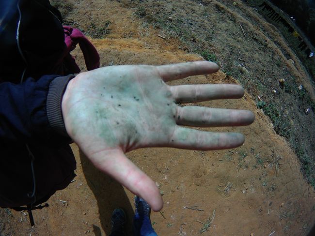 Beim Verreiben wird die Hand grün. Bei Zugabe von Wasser blau (nicht meine Hand). 