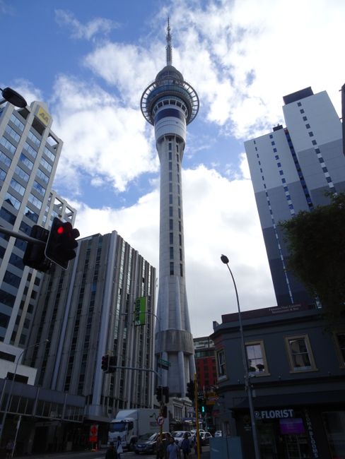 The first few days in Auckland