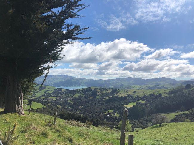 Rocky start to beautiful New Zealand