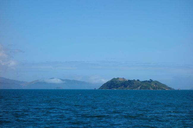 Matiu Island in Wellington Harbor