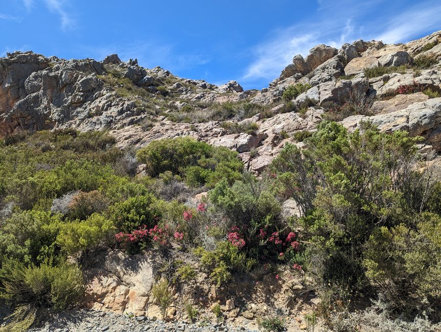 Oudtshoorn, Swartbergpass & Prince Albert