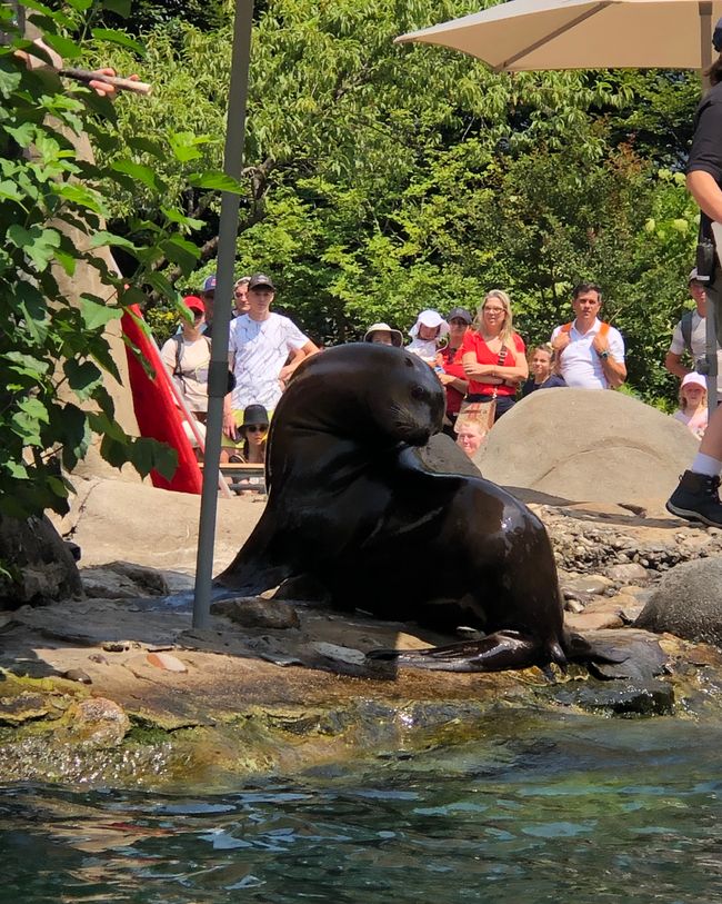 Zoo im Central Park