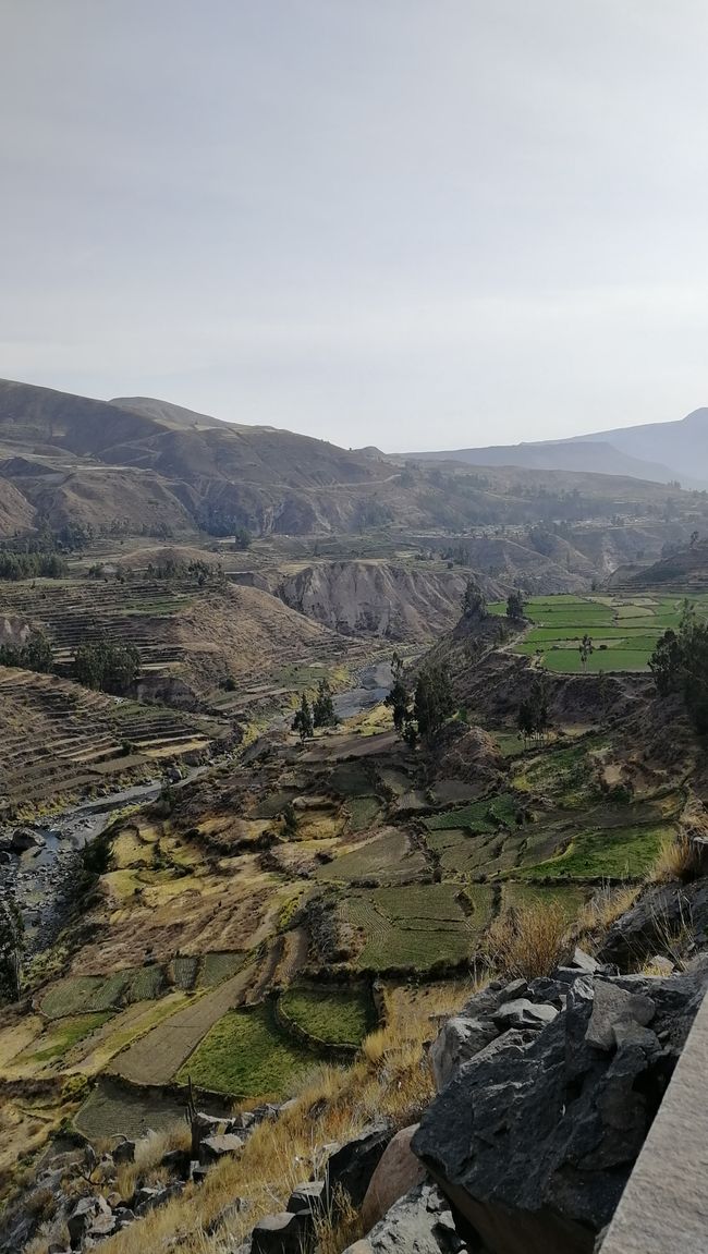 Arequipa ve Colca Kanyonu - Peru