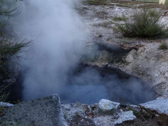 One of the countless steamy and smelly holes in Rotorua