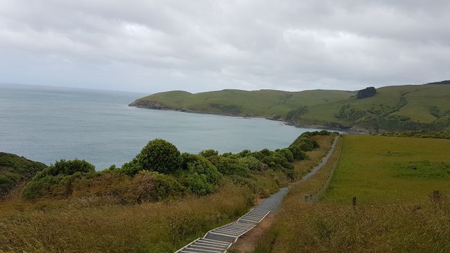 From Nugget Point to Arthurs Pass