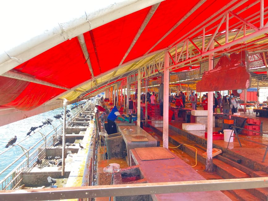Fischmarkt Valdivia