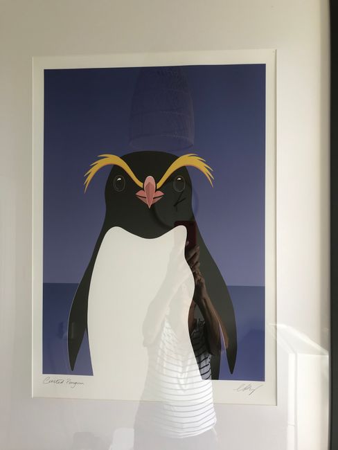 from the Yellow-Eyed Penguin