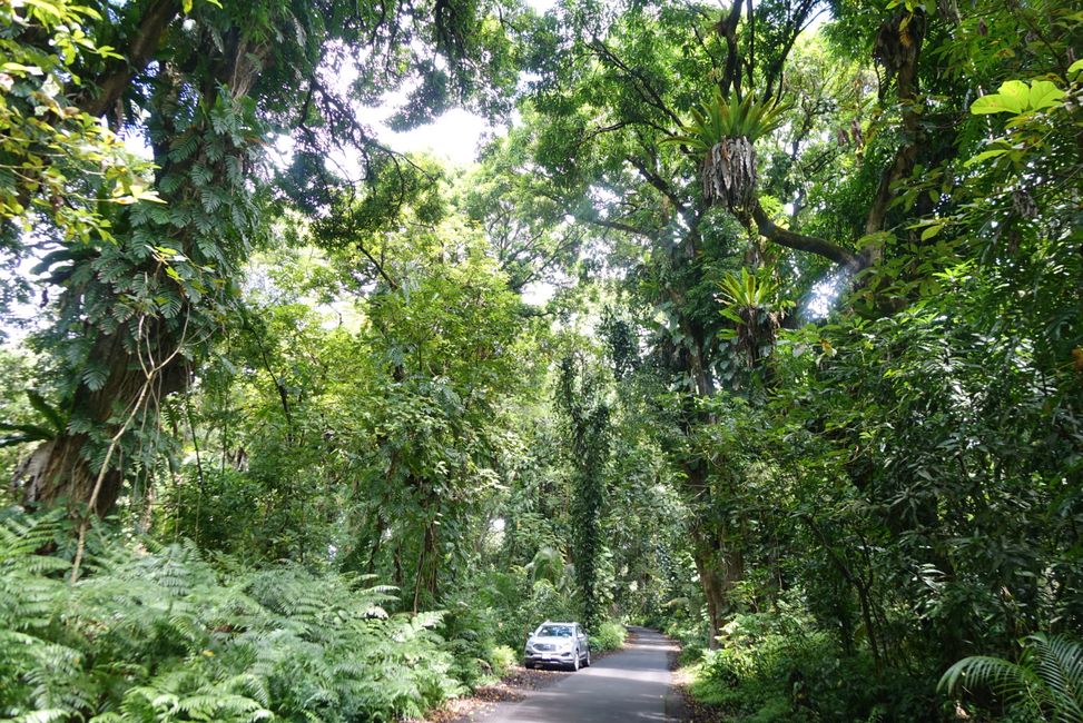 Hawaii 2022 - Teil 1: Big Island