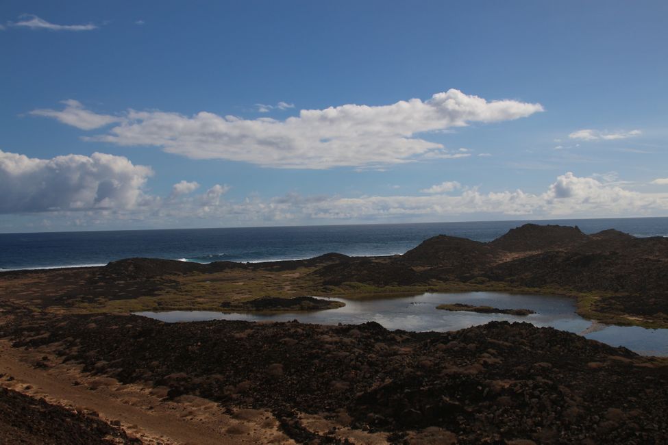Isla de Lobos + Punta Jandía