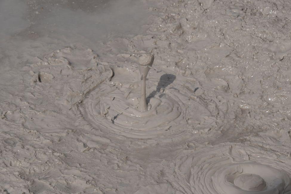 Waiotapu Mud Pools - Kochender Schlamm