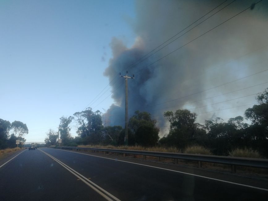 Rauchschwaden eines Buschfeuers im Süden von Perth, von der Autobahn aus hatten wir einen guten Eindruck von seinem Ausmaß