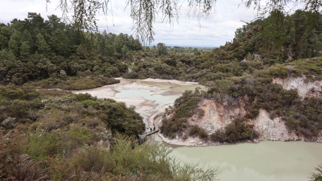 Tag 9 Wai-O-Tapu Thermal Wonderland