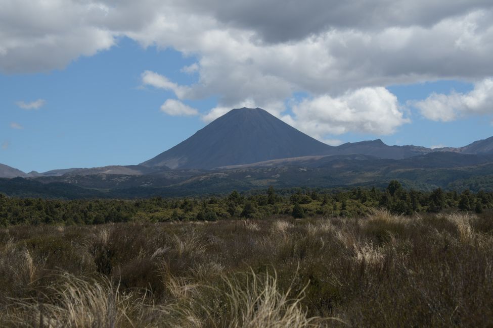 Desert Road: View to Mt.Ruapehu