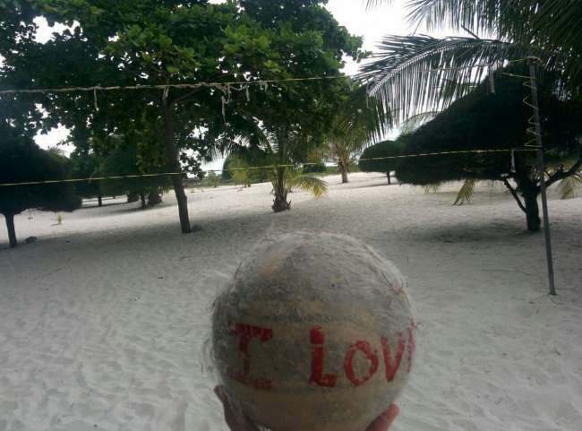 Coconut or Volleyball?