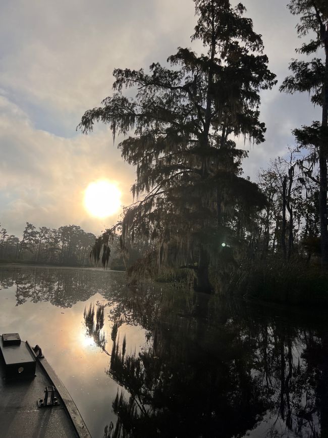 Wildes Louisiana