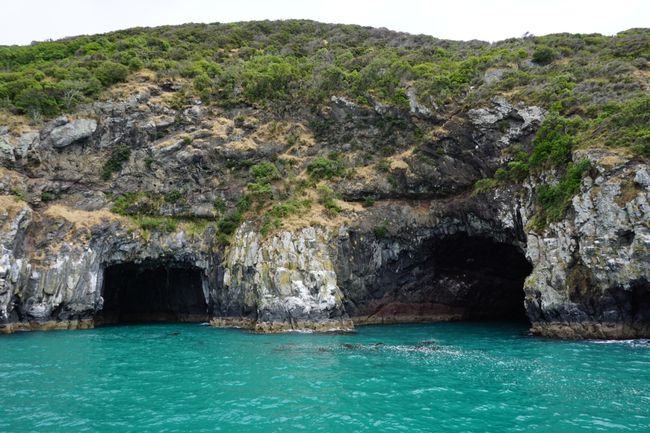 Sea Caves 