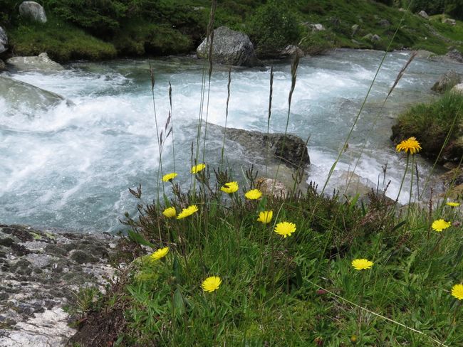 Switzerland July 2019 - Our first two hikes