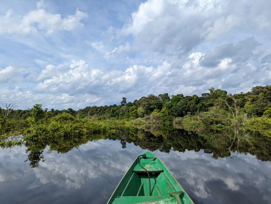 3. Tag im Amazonas-Dschungel