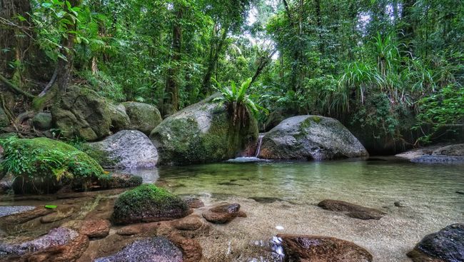 Perfekte Dschungelidylle - wer würde hier nicht baden gehen wollen?!