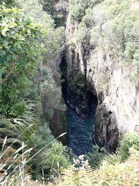 Jack's Blowhole