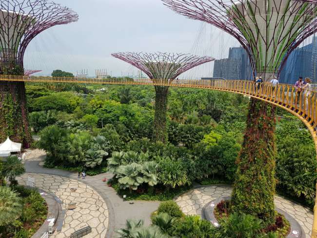 OCBC Skyway - Gardens by the Bay