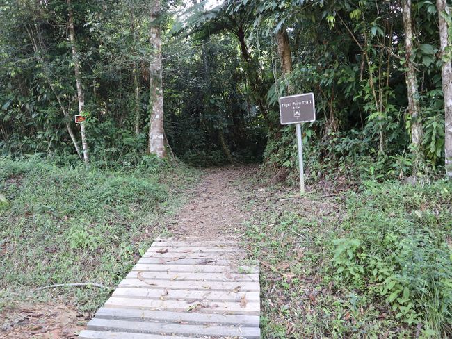 Hike i roto i te Rahui Jaguar :O (Ra 182 o te haerenga o te Ao)
