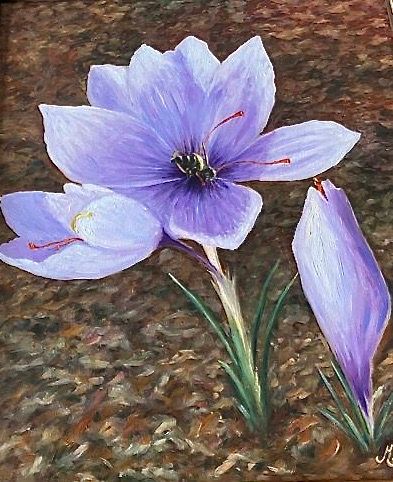In paintings: The crocus flower with the saffron stigmas.