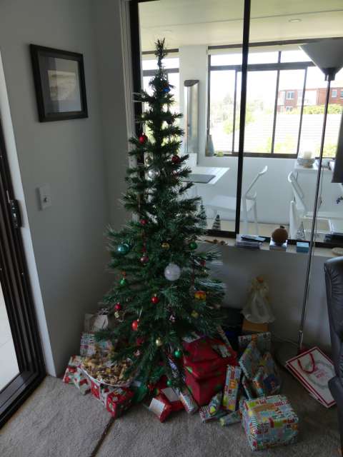The Christmas tree under which we put our gifts this year