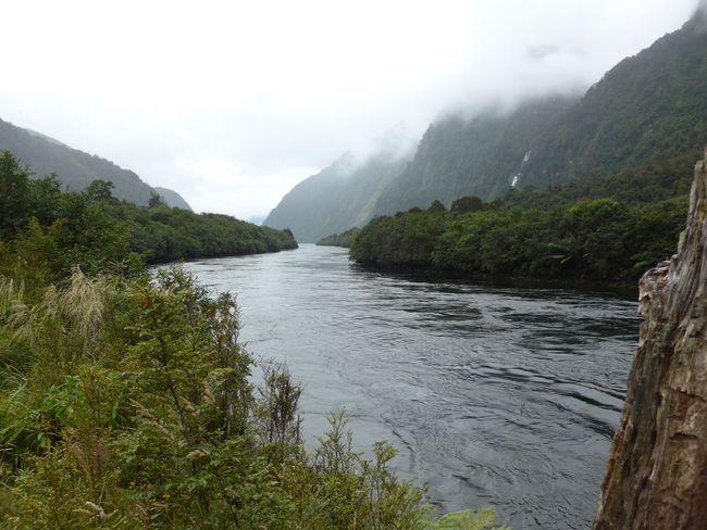 Doubtful Sound (Neuseeland Teil 33)