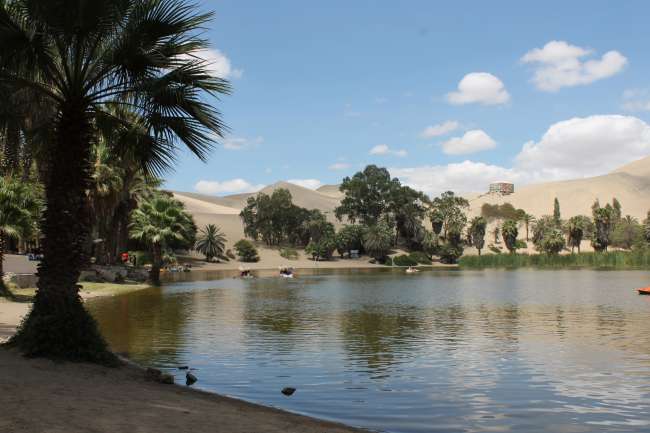 Ica and Huacachina - Boarding in the Sand