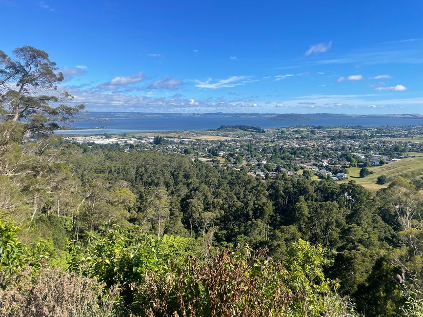 Sicht auf Rotorua und Lake Rotorua vom Forest Loop