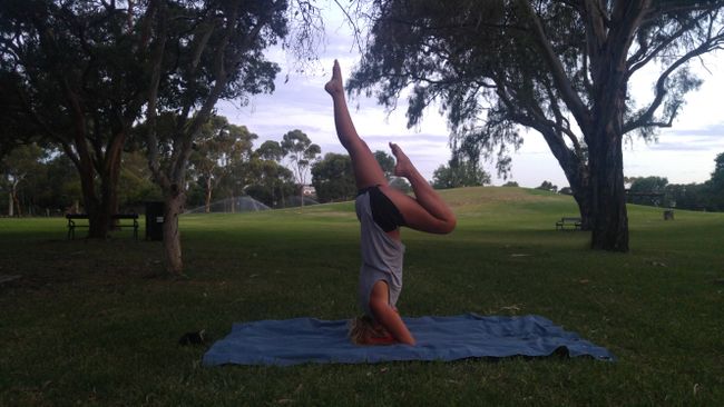 Yoga im Bonython Park