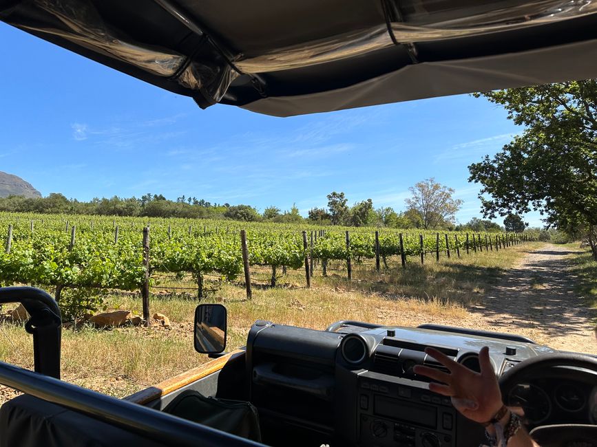 Stellenbosch 
