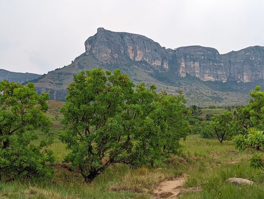 Royal Natal Drakensberg Park