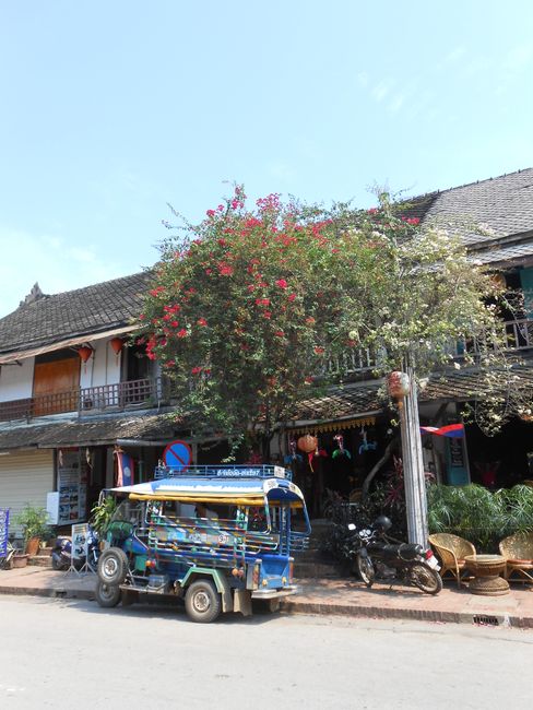 Moenche gucken in Luang Prabang