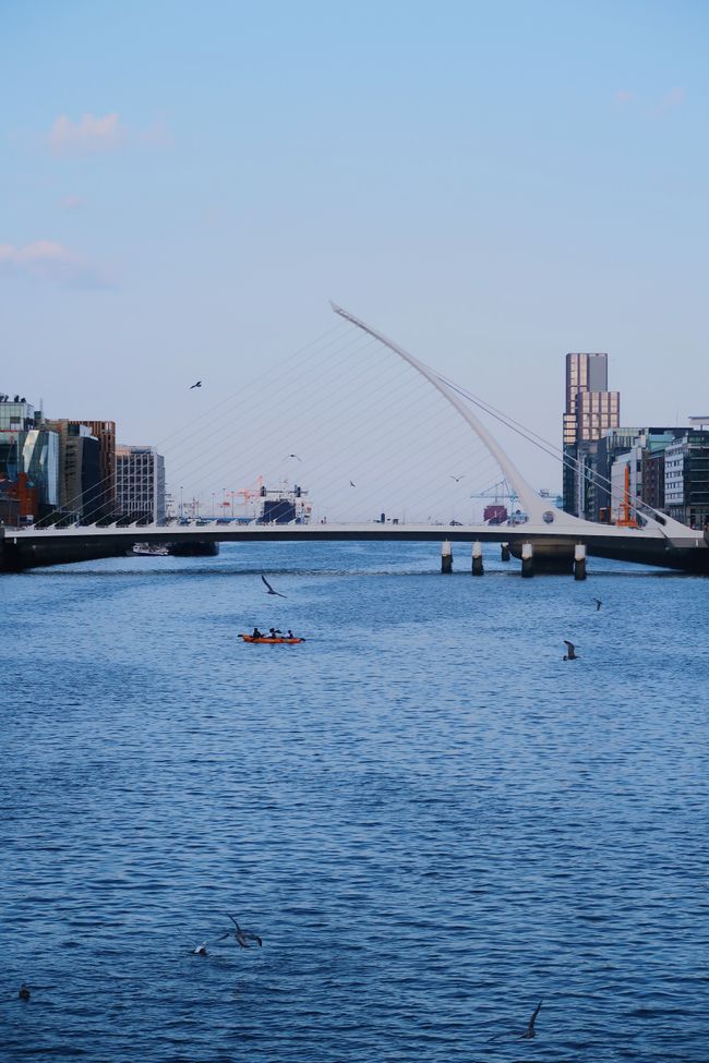 Dublin – die raue Hauptstadt und ihre Perle am Zipfel - 6 Monate in Irland