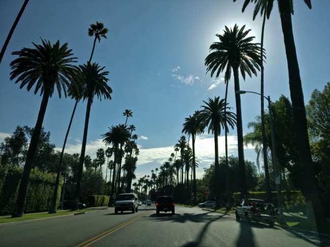 Beverly Hills Palm Avenue