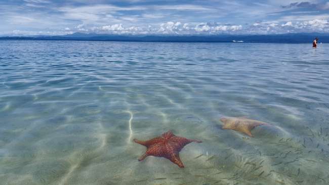 Dag 18 - Starfish Beach en Bocas in die nag