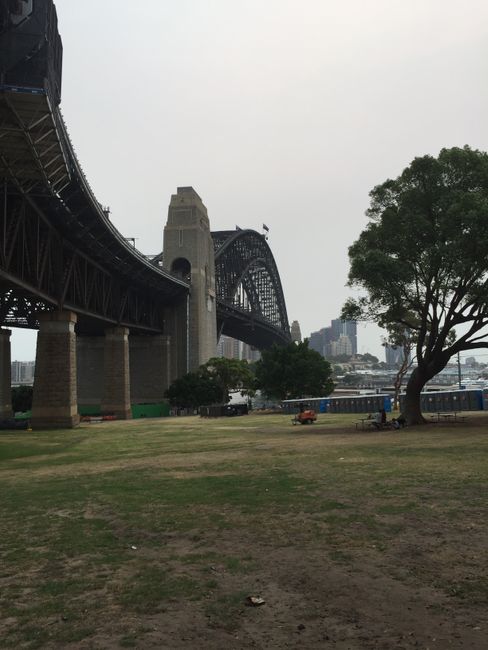 Chapter 4: Sydney, New Year's Eve, and Family Time