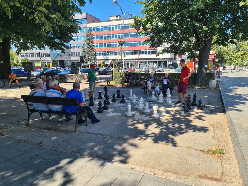 Opas beim Schachspielen im Park.