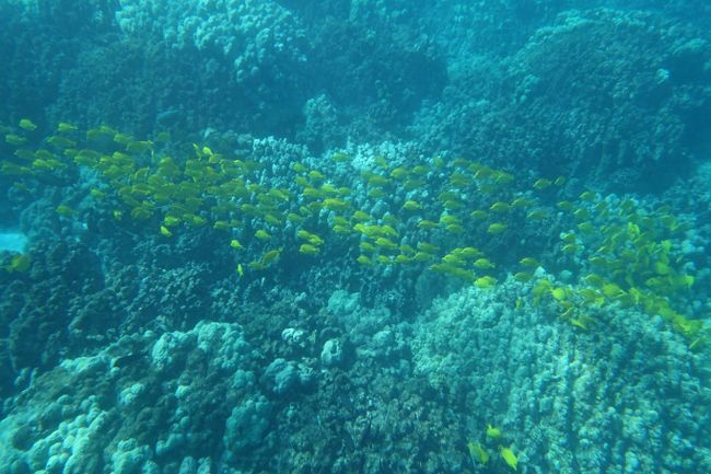 天堂里的浮潜