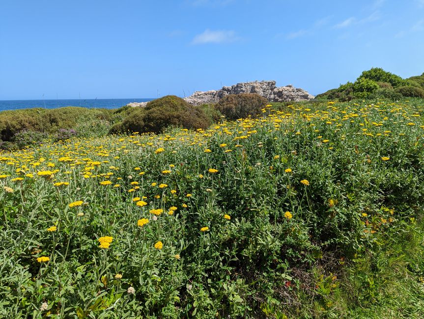 Parc national de Tsitsikamma