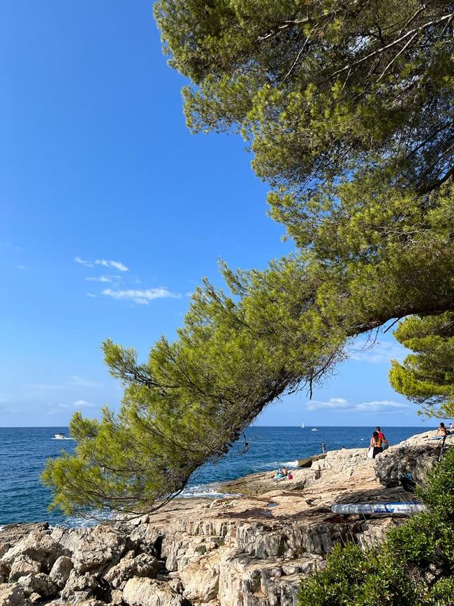ISTRA -Pula